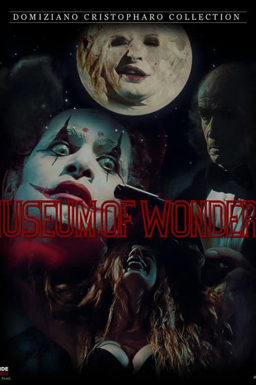 The Museum Of Wonders (2010) poster
