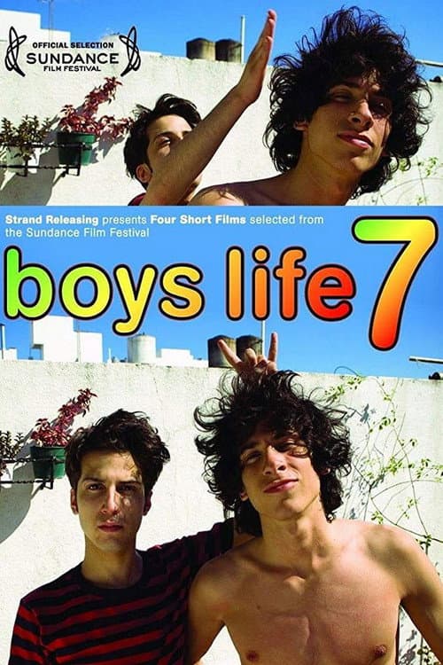 Boys Life 7 (2010) poster