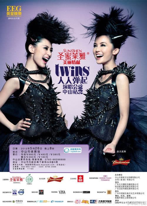 Twins 2010 Live (2010) poster