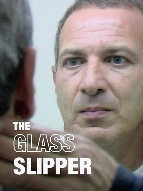 The Glass Slipper (2011) poster