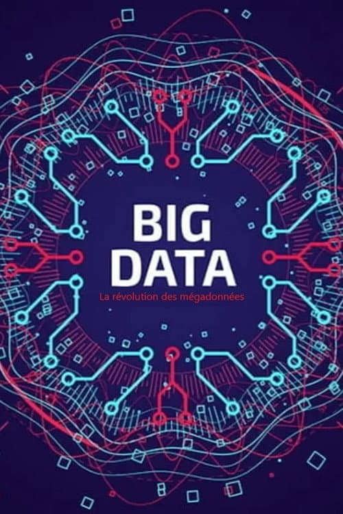 Big Data - La révolution des mégadonnées (2014) poster