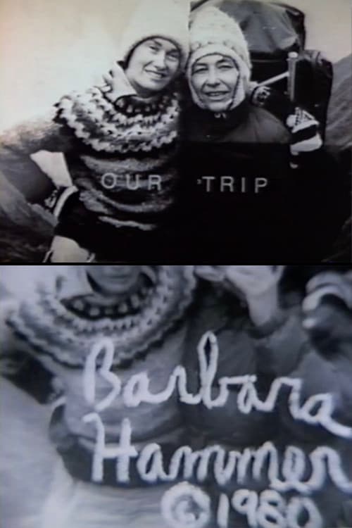Our Trip (1981) poster