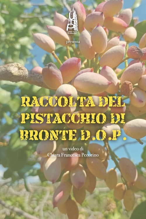 Raccolta del pistacchio di Bronte D.O.P. (2021) poster