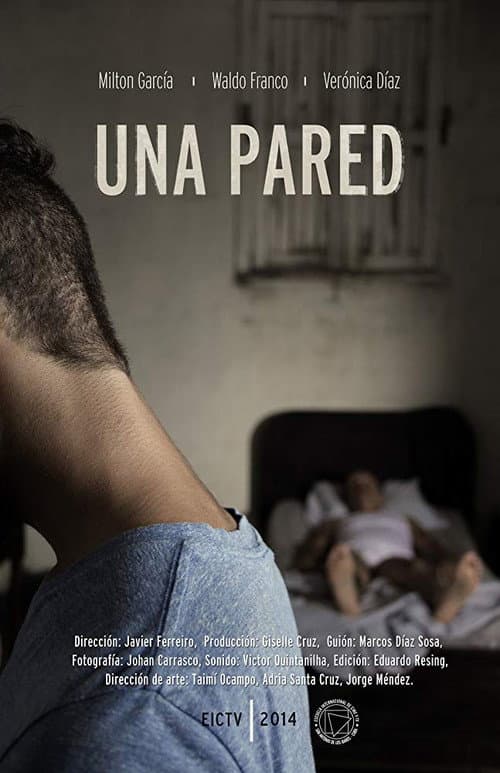 Una pared (2014) poster