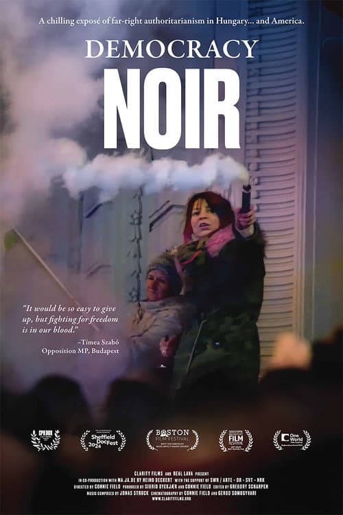 Democracy Noir (2024) poster