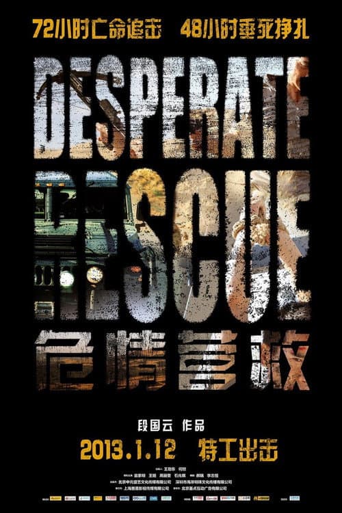 Desperate Rescue (2013) poster