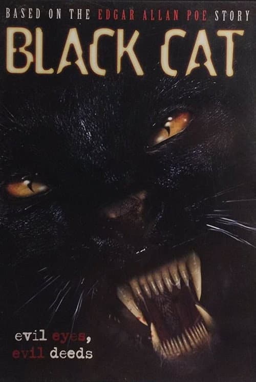 Black Cat (2004) poster