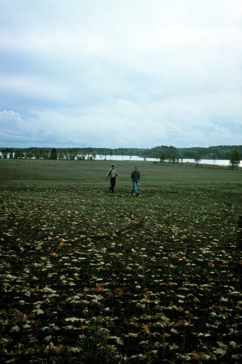 Småvilt (2009) poster