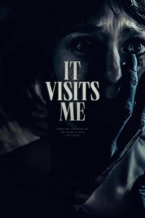 It Visits Me (2024) poster
