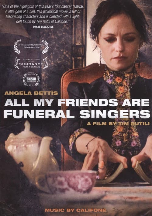 All My Friends Are Funeral Singers (2010) poster