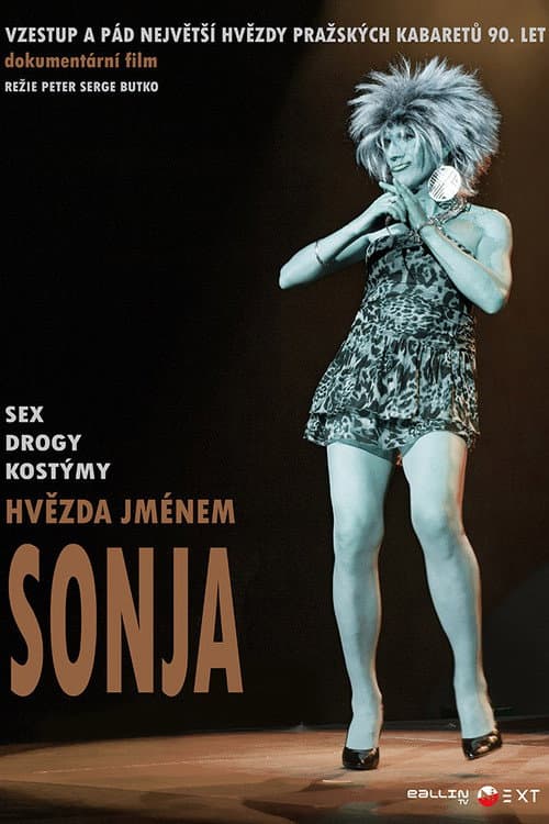 Hvězda jménem Sonja (2014) poster