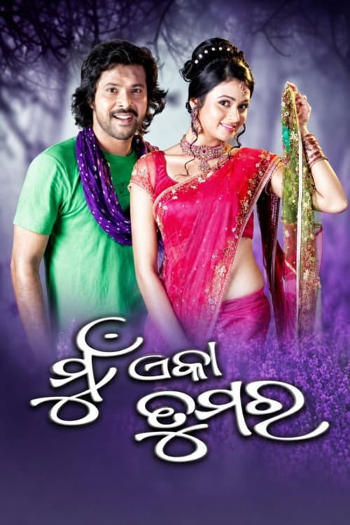 Mu Eka Tumara (2013) poster