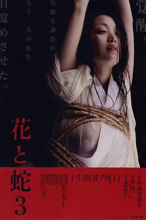 花と蛇 3 (2010) poster