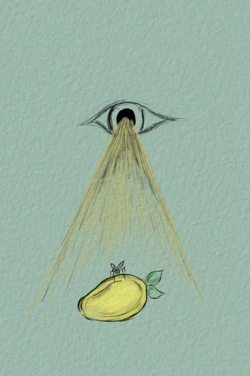 To Be A Fly On Your Mango (2022) poster