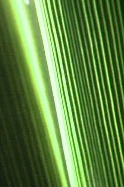 Bump Past Cut Up Through Windows (2004) poster