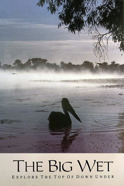 The Big Wet (1993) poster