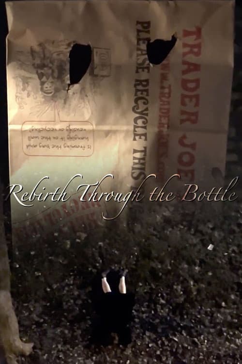 Rebirth Through The Bottle (2024) poster