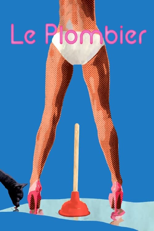 Le Plombier (2016) poster