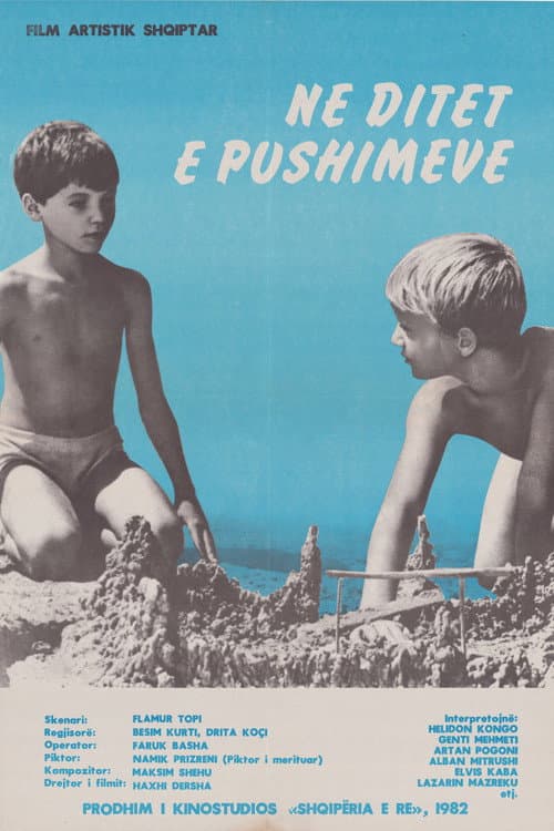 Në ditët e pushimeve (1982) poster