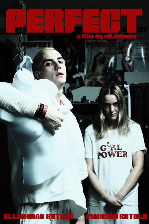 Perfect (2021) poster