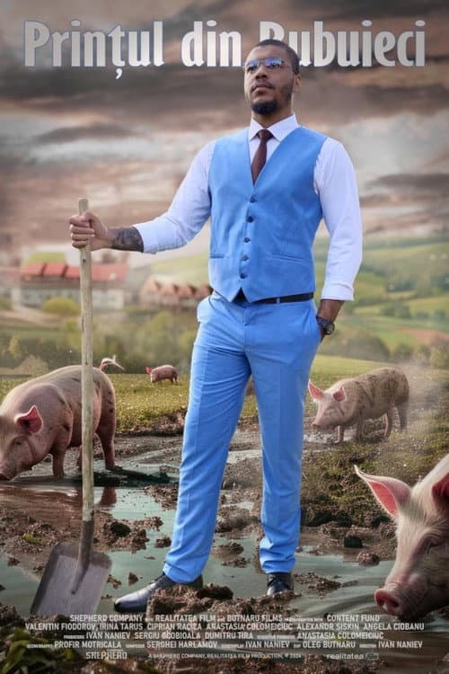 Prințul din Bubuieci (2025) poster