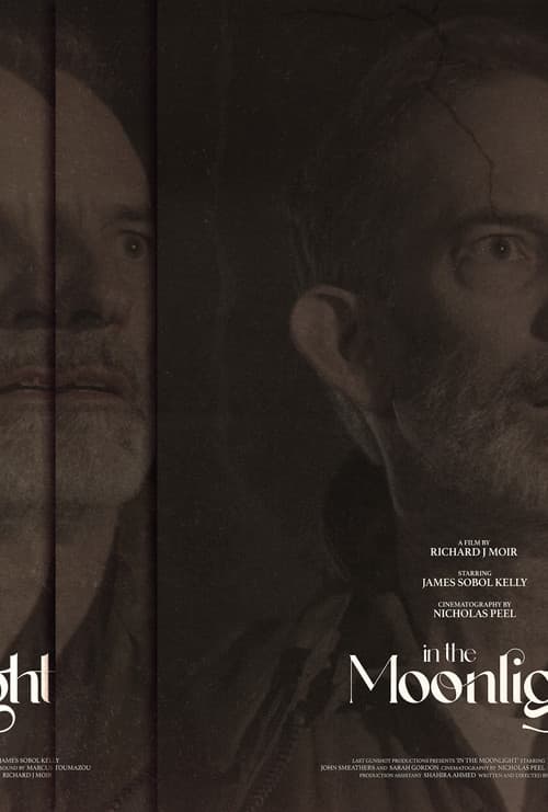 In The Moonlight (2023) poster