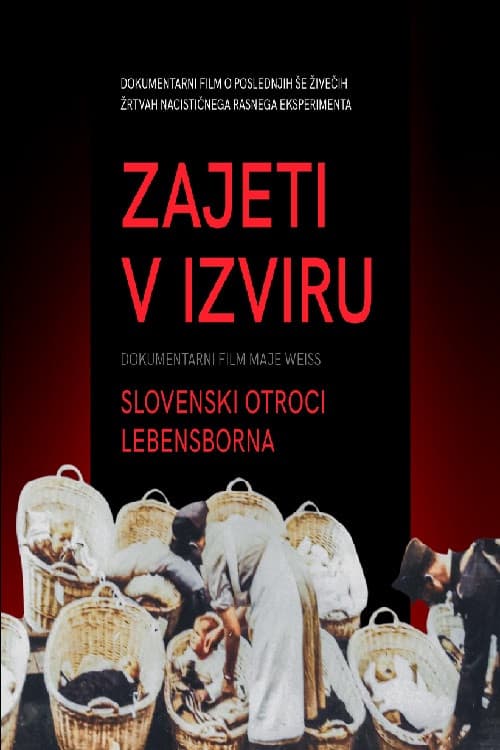 Zajeti v izviru - Slovenski otroci Lebensborna (2023) poster