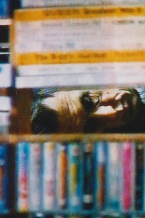 Juris Lapinskis - Ierakstu karalis (1996) poster