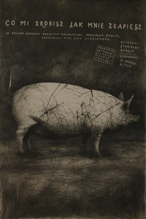 Co mi zrobisz, jak mnie złapiesz (1978) poster