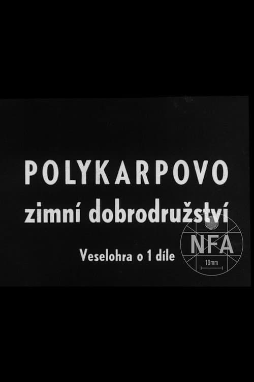 Polykarpovo zimní dobrodružství (1917) poster