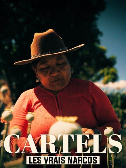 Les vrais Narcos (2020) poster