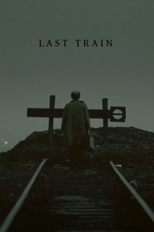 Ostatni pociąg (2010) poster