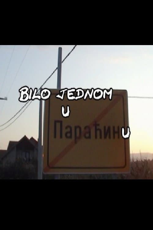 Bilo jednom u Paraćinu (2011) poster