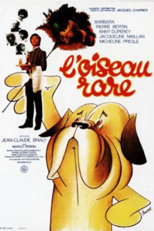 L'oiseau rare (1973) poster