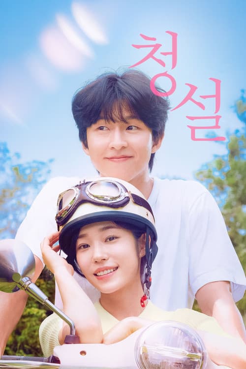 청설 (2024) poster