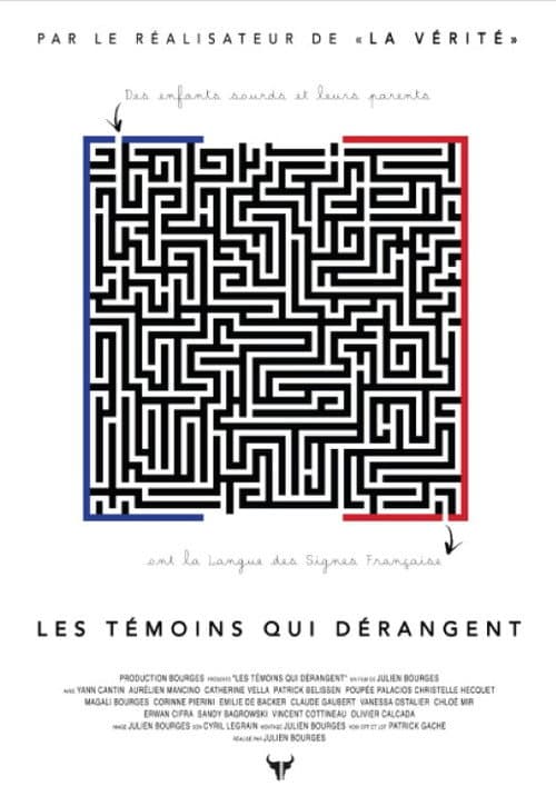 Les témoins qui dérangent (2016) poster
