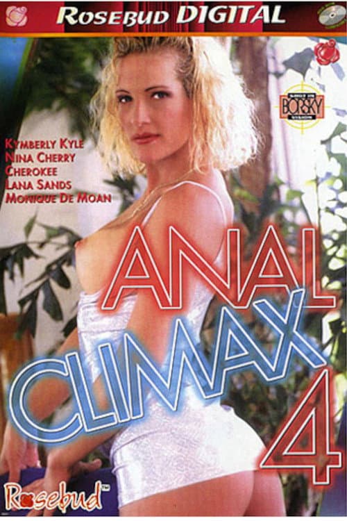 Anal Climax 4 (1996) poster
