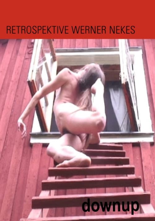 Downup (2010) poster