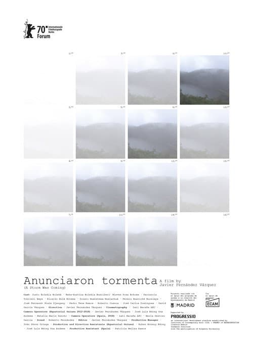 Anunciaron tormenta (2020) poster