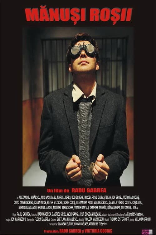 Mănuși roșii (2010) poster