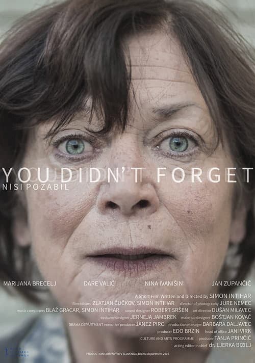 Nisi pozabil (2016) poster