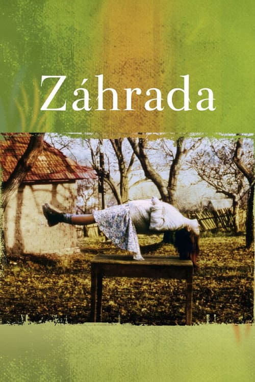 The Garden (1995) poster