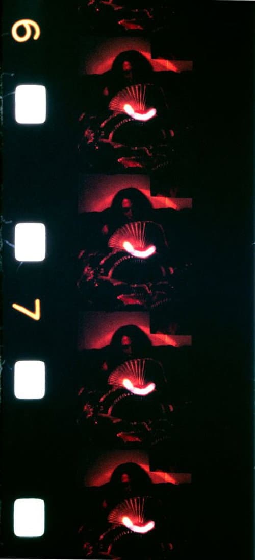L'éventail (1981) poster