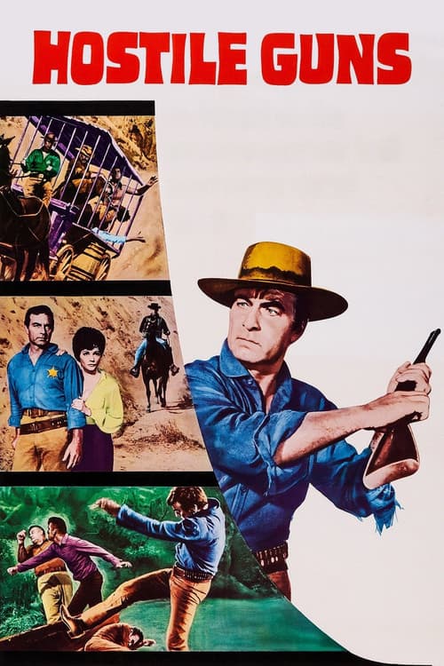 Hostile Guns (1967) poster