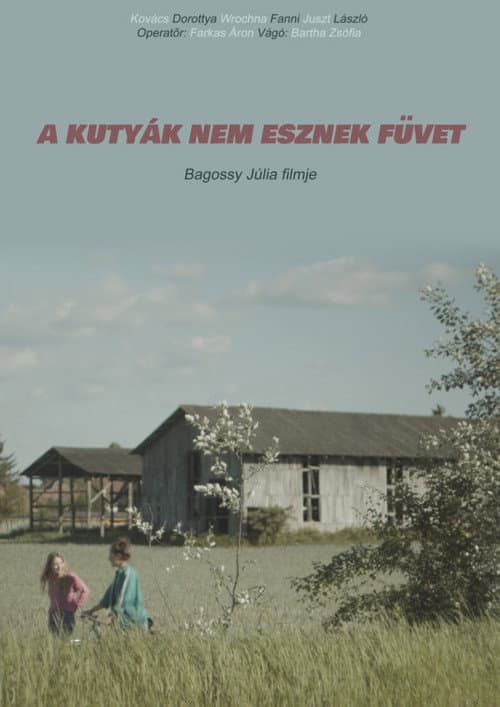 A kutyák nem esznek füvet (2022) poster