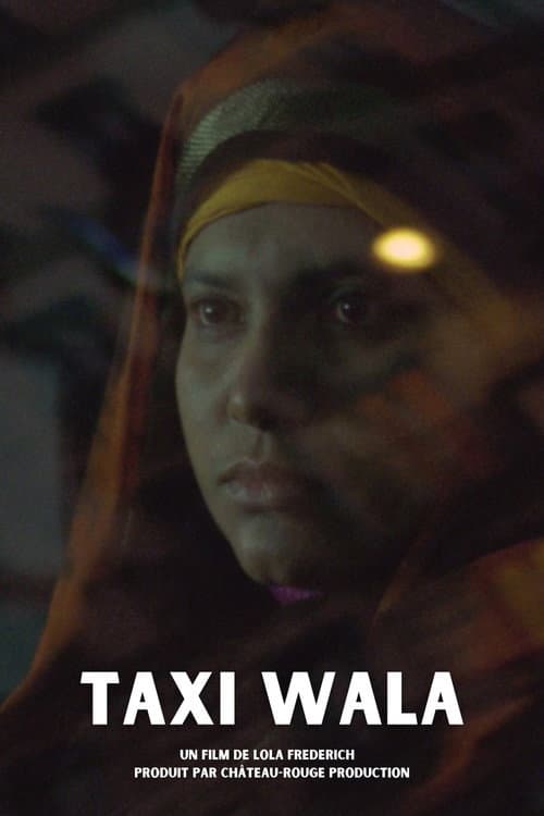 Taxi Wala (2008) poster