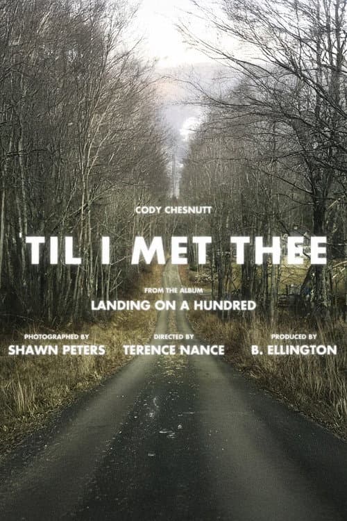 Cody ChesnuTT - Till I Met Thee (2013) poster