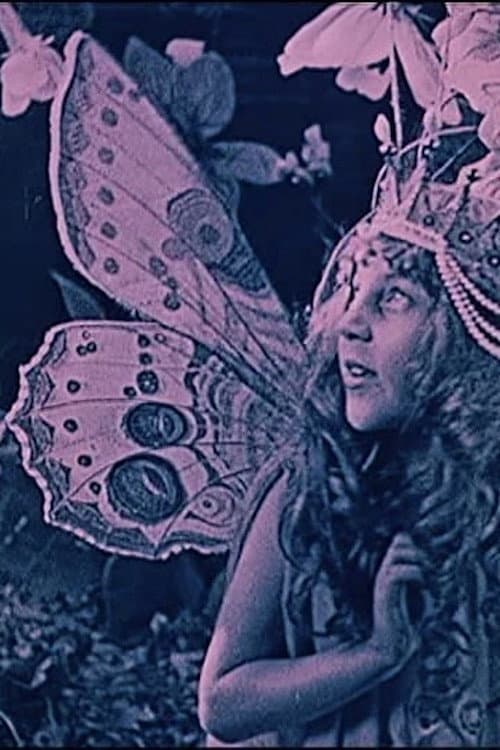 La Reine des papillons (1927) poster
