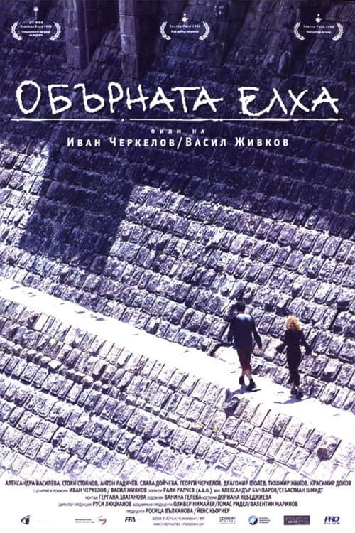 Obarnata elha (2006) poster