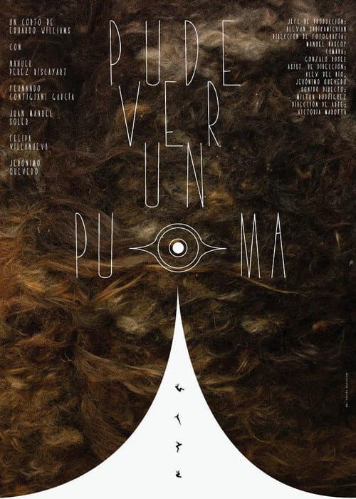 Pude ver un puma (2011) poster